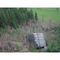 Stone-Dize